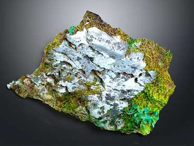 Small Lizard Resting On Moss Covered Rock With Green Lichens 3d model