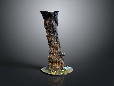 Small Plants And Moss Growing On Tree Stump Base With Natural Texture And Greenery 3d model