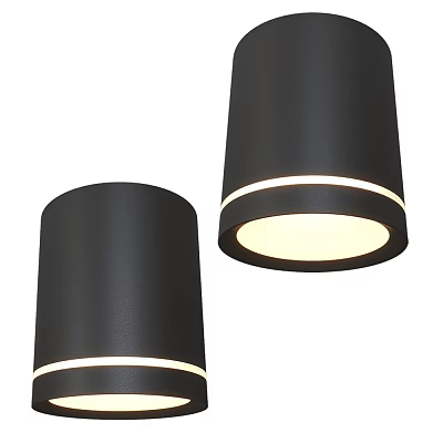 Black Cylindrical Downlights and Spotlights with White Light Strips and Soft Illumination 3d model