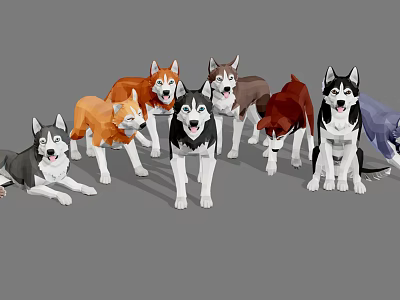 Cute Husky Dogs In Different Colors Standing Together On Gray Background 3d model