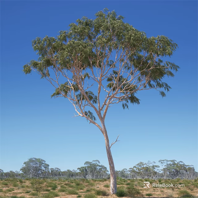 Tall Tree With Lush Green Leaves And Brown Trunk Under Clear Blue Sky 3d model 