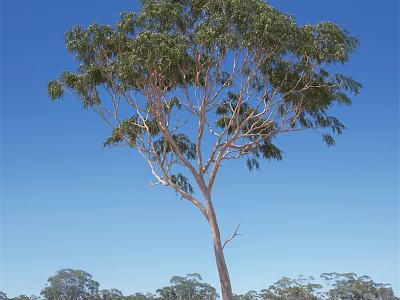 Tall Tree With Lush Green Leaves And Brown Trunk Under Clear Blue Sky 3d model