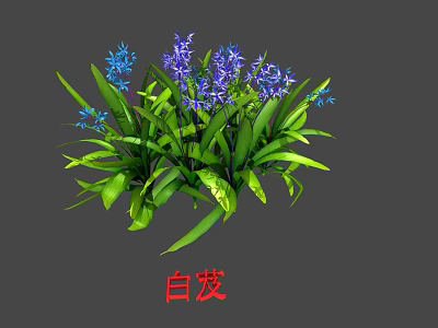 Vibrant Bletilla Flowers With Purple And Blue Blooms And Lush Green Leaves 3d model
