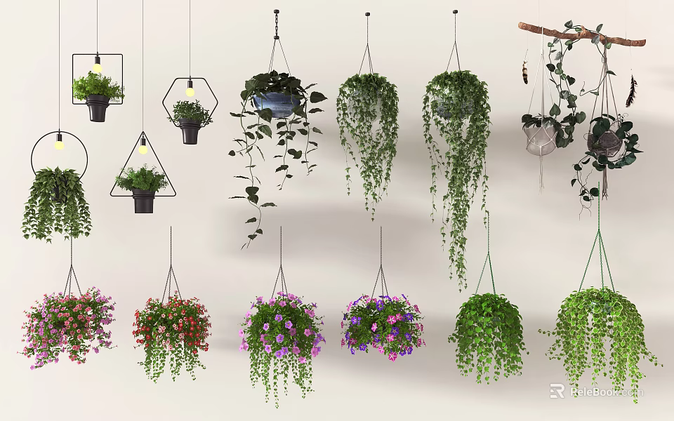Indoor Decorative Hanging Basket Plants With Colorful Flowers And Trailing Leaves 3d model 