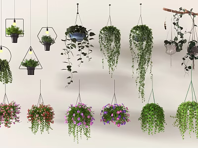 Indoor Decorative Hanging Basket Plants With Colorful Flowers And Trailing Leaves 3d model
