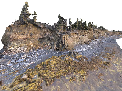Scenic Natural View With Stone Terrain And Wood Features Including Trees And Pebble Ground 3d model