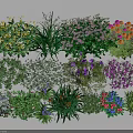 Various Colorful Flowers And Green Plants With Vibrant Blooms In Garden