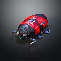 Red and Black Beetle With Shiny Exoskeleton On Dark Background Close Up View