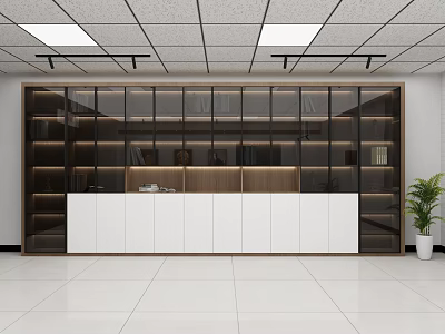 Modern Wooden Bookcase With Glass Doors White Cabinets And LED Strip Lighting In Office 3d model