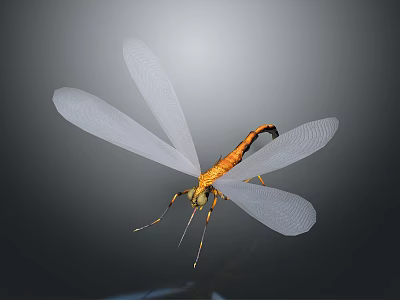 Bright Orange Bodied Dragonfly With Transparent White Wings Against Dark Background 3d model