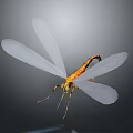 Bright Orange Bodied Dragonfly With Transparent White Wings Against Dark Background