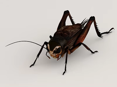 Detailed Close Up View Of Reptile With Scaly Skin And Long Tail Features 3d model