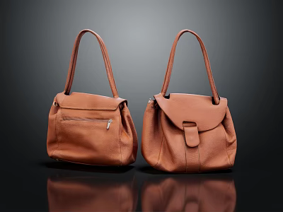 Stylish Brown Leather Handbags With Zipper Pocket And Buckle Closure Design 3d model