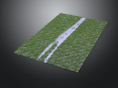 Lush Green Grass Field With White Path Running Through Center Area 3d model