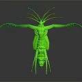 Green Alien Creature 3D Model with Multiple Antennas and Extended Limbs on Dark Background Reflection
