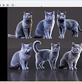 Eight Gray Cats In Different Poses Standing On Reflective Gray Background 3d model