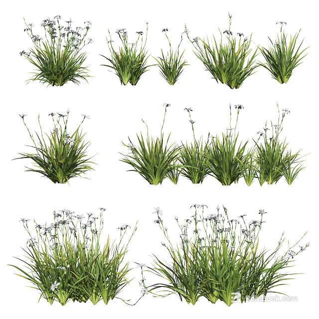 Green Grass With White Flowers In Natural Clumps For Garden Decoration 3d model 