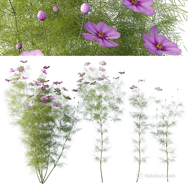 Beautiful Pink Flowers And Lush Green Grass In Natural Garden Plant 3d model 