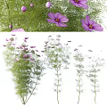 Beautiful Pink Flowers And Lush Green Grass In Natural Garden Plant