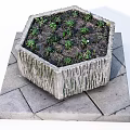 Hexagonal Stone Garden Planter With Small Green Plants On Stone Slab Platform