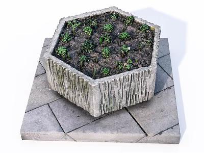 Hexagonal Stone Garden Planter With Small Green Plants On Stone Slab Platform 3d model