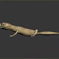 Lizard Anime Lizard Chameleon Cartoon Lizard Reptile Cold Blooded Animal Reptile Class 3d model
