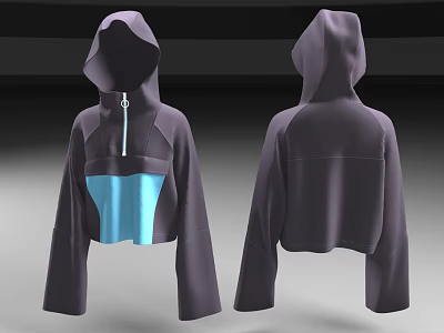 Cropped Hoodie With Long Sleeves Blue Panel And Hooded Design Front Back View 3d model