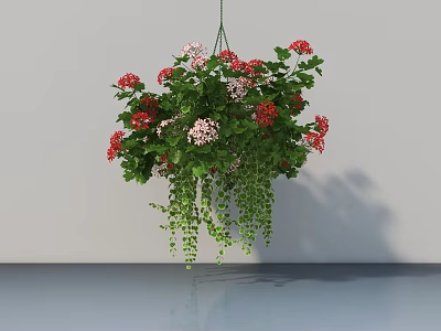 Indoor Hanging Basket Plant with Red Pink Flowers and Cascading Green Vines 3d model