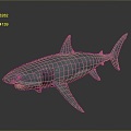 Modern shark great white shark whale shark hammerhead shark 3d model