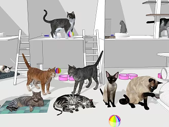 Modern Cat Pet 3d model