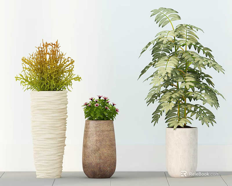 Indoor Potted Plants with Green Yellow Leaves Small Colorful Flowers and Decorative Pots 3d model 