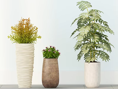 Indoor Potted Plants with Green Yellow Leaves Small Colorful Flowers and Decorative Pots 3d model