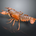 Detailed Orange Brown Crayfish with Claws and Segmented Body on Dark Background