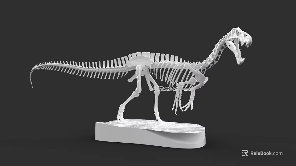 Reptile Dinosaur Skeleton Model Display On White Base With Detailed Bones 3d model 