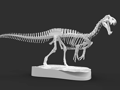 Reptile Dinosaur Skeleton Model Display On White Base With Detailed Bones 3d model
