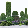 Shaped Garden Shrubs With Various Forms Rocks Purple Flowers And Ferns