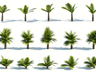 Modern Palm Tree 3d model