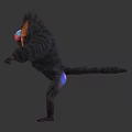 Mandrill With Black Fur And Colorful Red Blue Facial Features Standing With Outstretched Arms