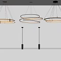 Modern Interior Lighting Combinations With Circular Rings And Linear Pendant Design 3d model