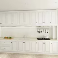 Elegant Modern Kitchen With White Cabinets Countertop Plants And Spice Jars