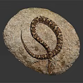 Brown Patterned Snake Coiled With Open Mouth Resting On Rough Rock In Natural Setting 3d model