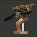 Realistic Hawk Taxidermy Mount Perched On Wooden Branch With Orange Base