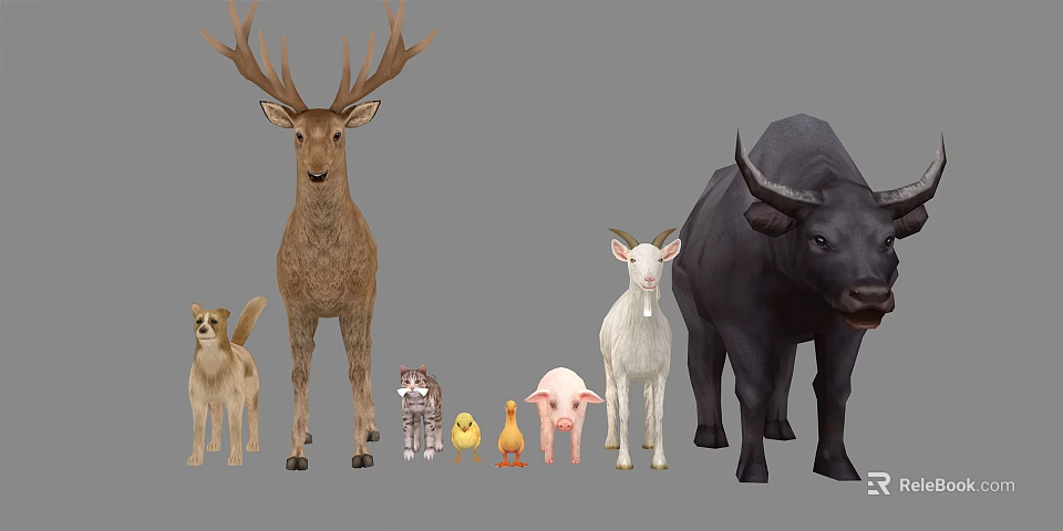 Different Reptile Species With Unique Scales And Natural Habitat Features 3d model 