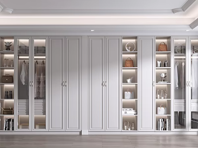 Modern White Wardrobe Interior Design With Glass Doors Lighting And Storage Shelves 3d model