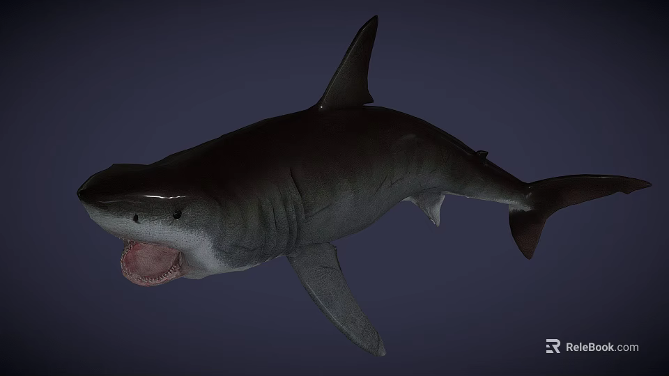 Large Gray Shark With Open Mouth And Sharp Fins In Deep Sea 3d model 