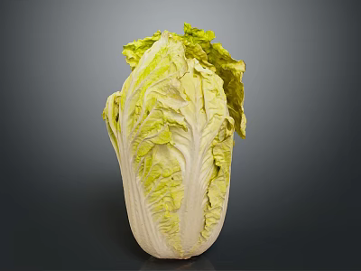 Fresh Green and Yellow Cabbage with Crisp Leaves Healthy Food Option 3d model
