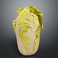 Fresh Green and Yellow Cabbage with Crisp Leaves Healthy Food Option
