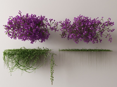 Modern Vine 3d model