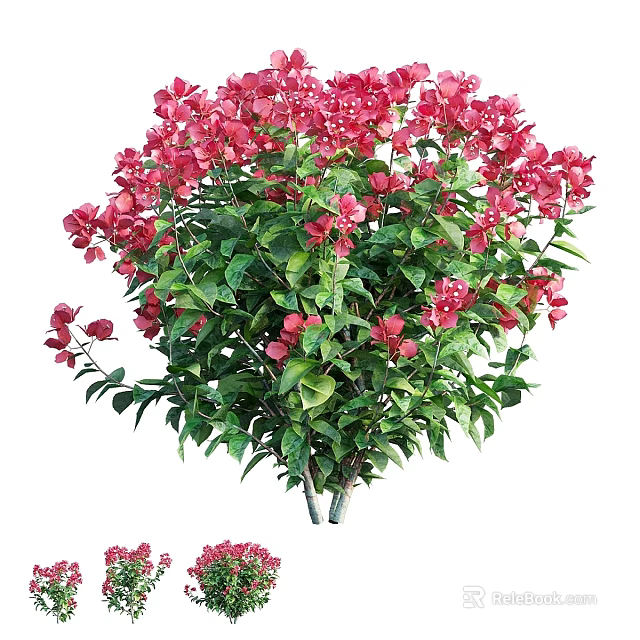 Vibrant Pink Flower Garden Ornament With Green Leaves And Lush Foliage 3d model 