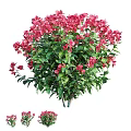 Vibrant Pink Flower Garden Ornament With Green Leaves And Lush Foliage
